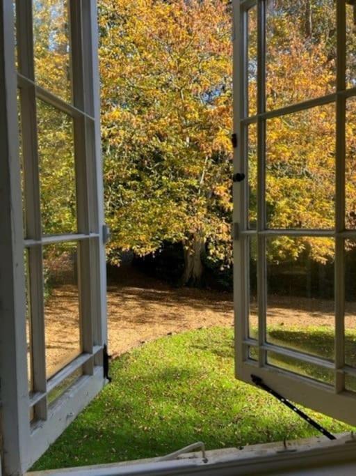 Landford'S Cottage, Your Retreat! Εξωτερικό φωτογραφία